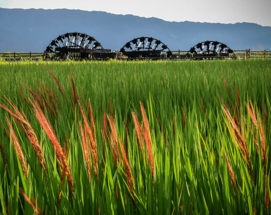 Honkaku-Spirits_Shinozaki-Distillery_04