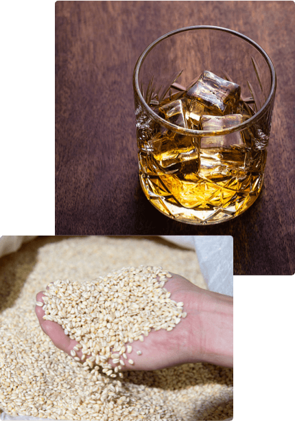 Honkaku-Spirits_Takamine-Whiskey_What-is-Koji