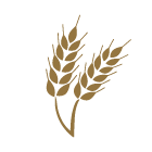 Honkaku-Spirits_BARLEY