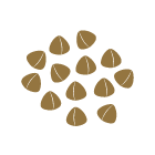 Honkaku-Spirits_BUCKWHEAT Copy